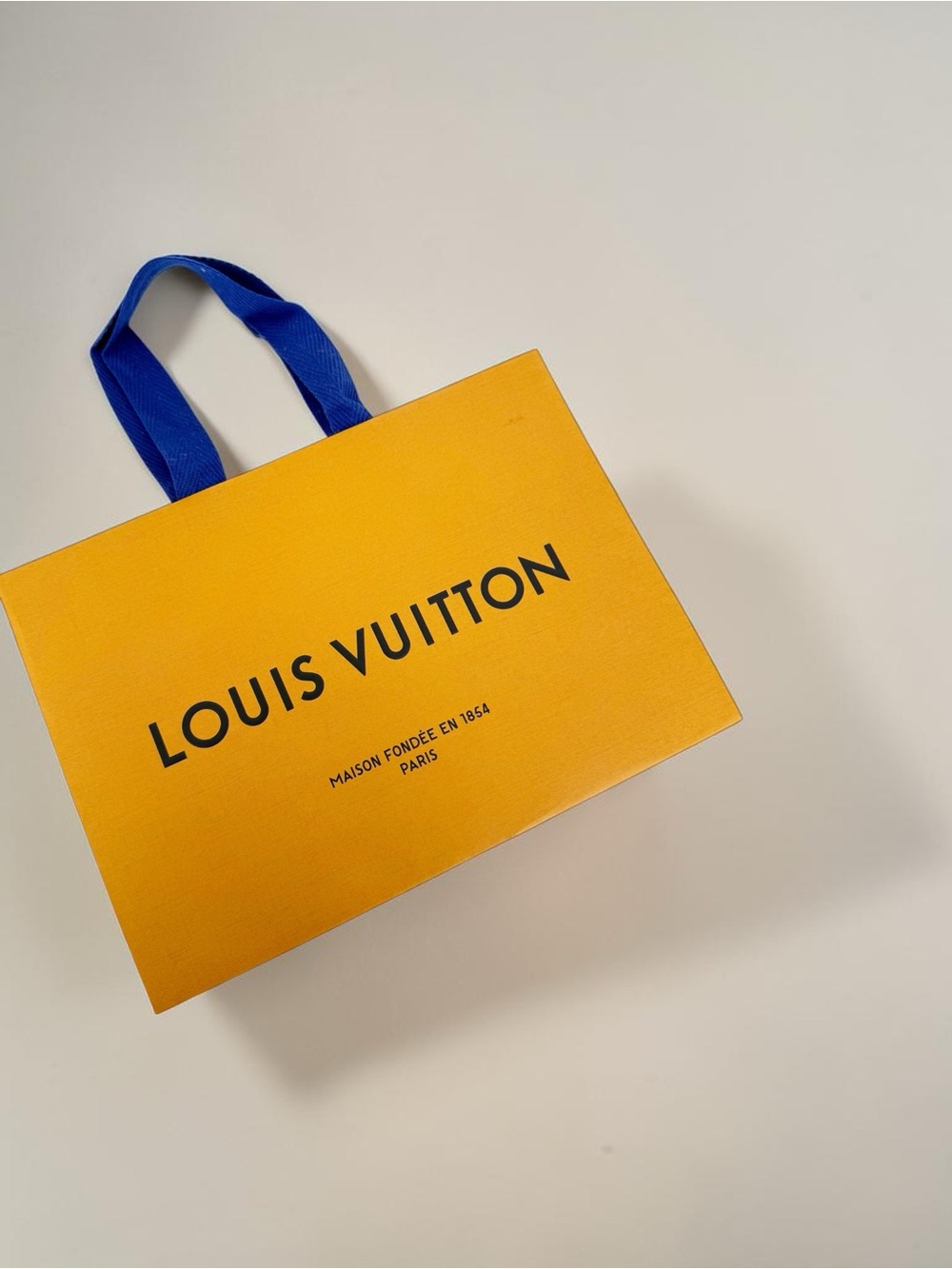 Louis‎ Vuitton Accessory Shopping Bag
